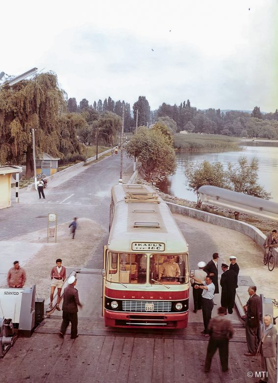 180_hajora-Edit_light